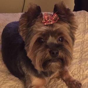 Meet your Posher, Marlene